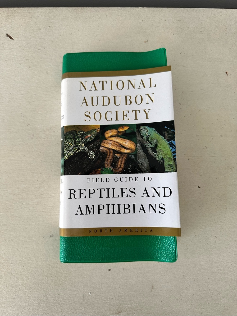 Vintage new national Audubon society reptile and amphibians book collectors